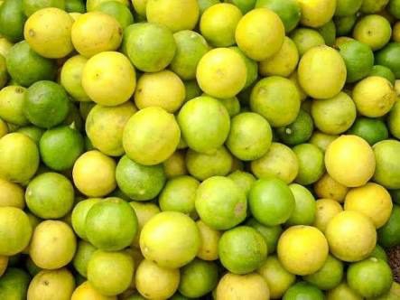 gudur lemon market