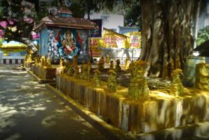  nagercoil temple