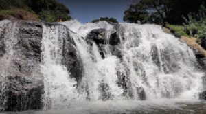 Catherine Falls - Catherine Water Falls - Kotagiri, Timings, Location, Images