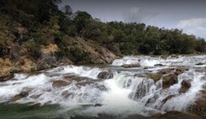 mudumalai national park