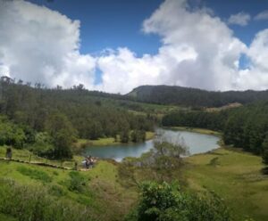 mudumalai reserve forest