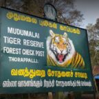 mudumalai tiger reserve in which state