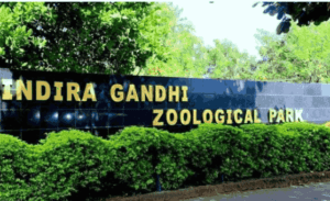Indira Gandhi Zoological Park Vizag